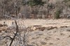 2018-01-16 to 2018-01-20 Bandolier and Jemez NM 023